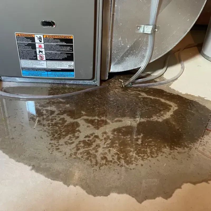 Appliance Leak Cleanup in Glidden, IA